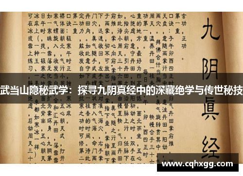 武当山隐秘武学：探寻九阴真经中的深藏绝学与传世秘技